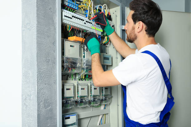 Best Electric Panel Repair  in Alpine, TX